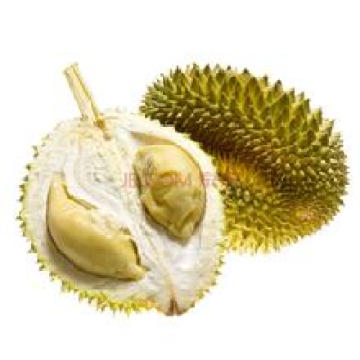 Qualité fiable 10: 1 extrait de durian, extrait de jacquier